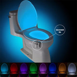 Motion sensor toilet seat night light